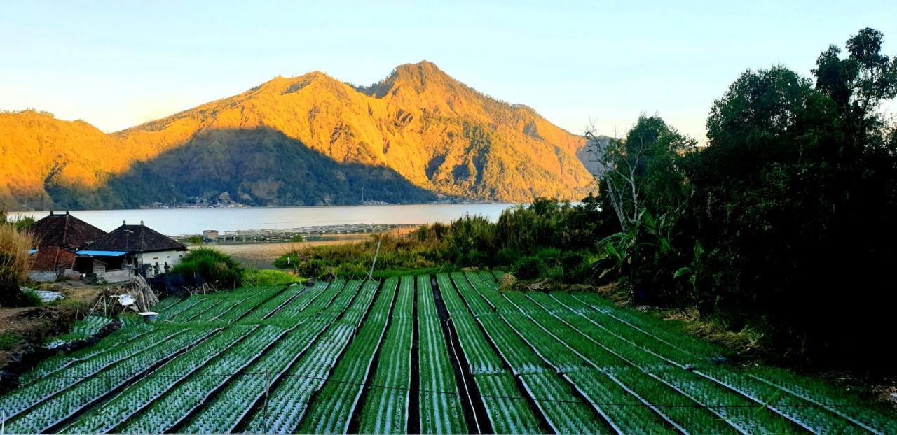 Volcano Lake View Kintamani Exteriér fotografie